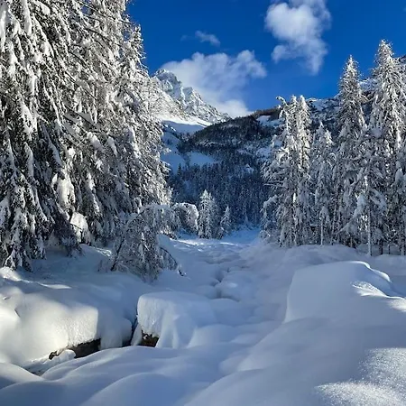 Lägenhet 10 Bel-alp