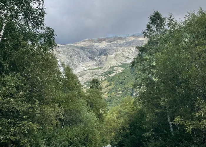 Apartment 10 Bel-alp *